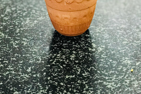 Delhi: Dilli Haat INA Guided Tour with Hotel Pickup