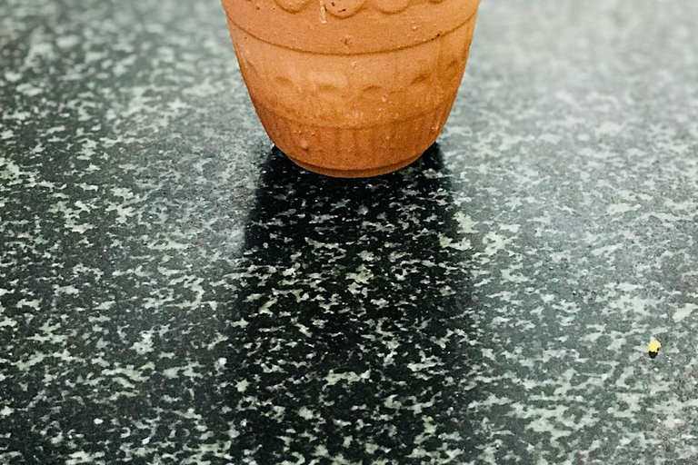 Delhi: Dilli Haat INA Guided Tour with Hotel Pickup