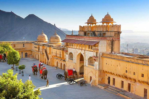 From Delhi: Same Day Jaipur Tour Delhi: Jaipur Tour without Entry Tickets or Lunch