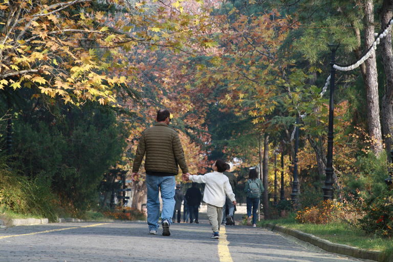 Tbilisi: Mtatsminda — The Hidden Side of the Holy Mountain Small Group - Hidden Side of Mtatsminda