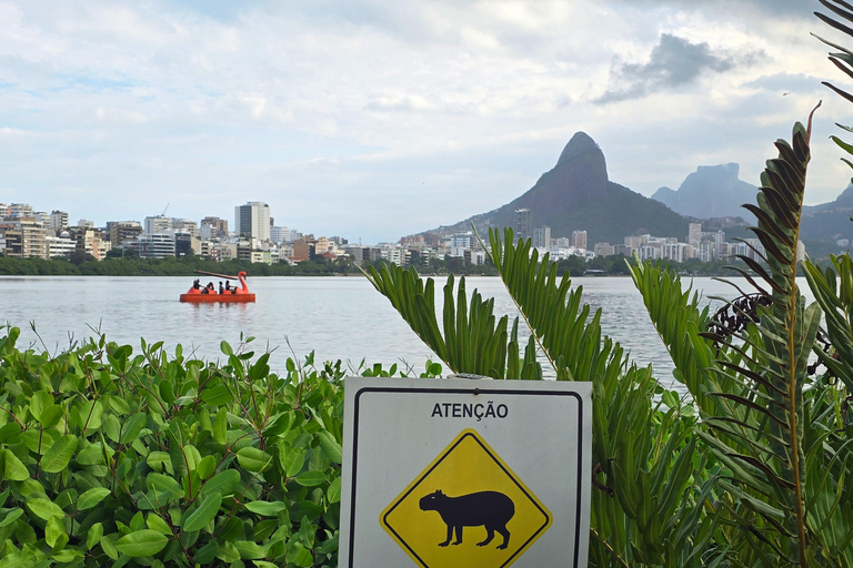 Capybaras: Rodrigo de Freitas Lagoon Paddle Boat Tour