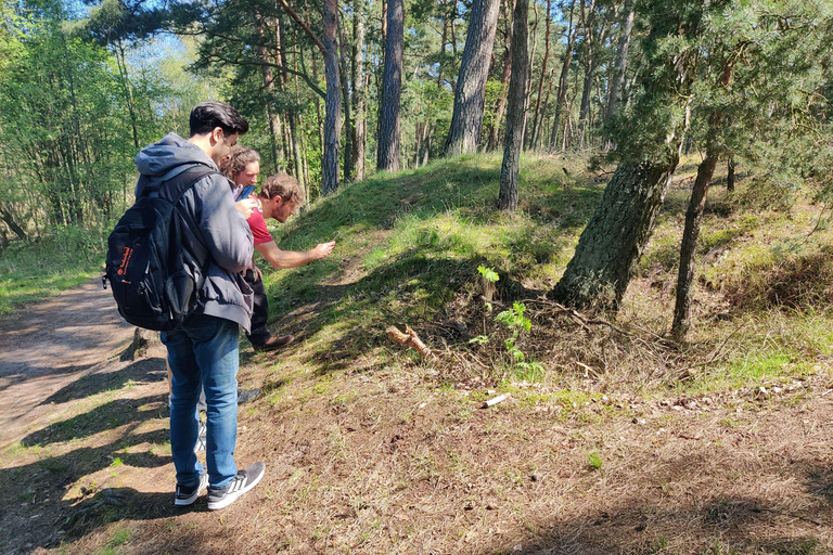 Entdecke die Insel Sobieszewo: Naturspaziergang &amp; Wildlife Tour