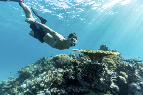 Whitsundays: 2 nachten cruisen met een klein schipVertrek Koraalzee Marina - Tweepersoons