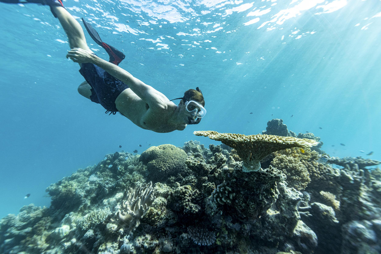 Whitsundays : 2 nuits de croisière en petit bateauDépart de la marina de Coral Sea - Double