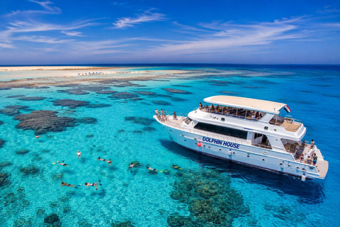 Marsa Alam: Dolphin House Snorkeling Cruise Lunch & Transfer