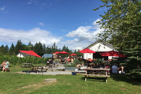 Vancouver: Tour de degustação de vinhos em Fraser Valley