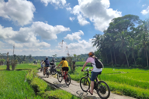 Ubud: Half-Day Tegallalang Electric Cycling Tour