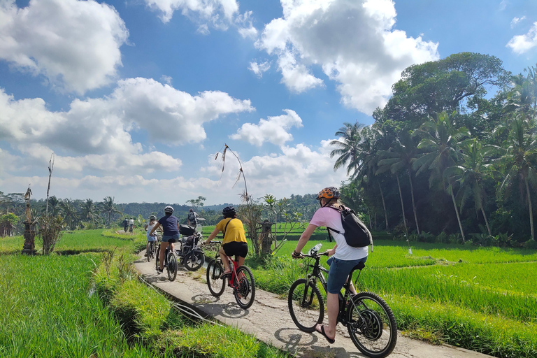 Ubud: Half-Day Tegallalang Electric Cycling Tour