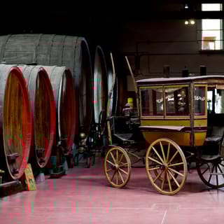 Modena: Wine Tasting and Cellar Tour With A Sommelier