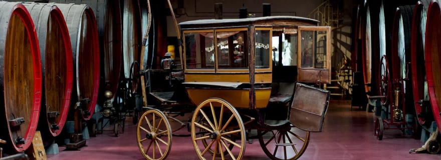 Modène : Dégustation de vin Lambrusco et visite de cave