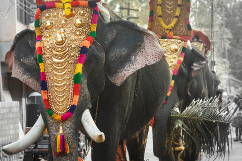 Cochin : Circuit de 5 jours à Munnar, Thekkady et Alleppey