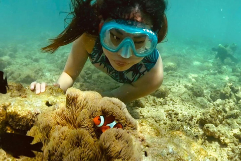 Exklusive Gili Nanggu, Sudak und Kedis Tour mit GoProPrivate Kleingruppen