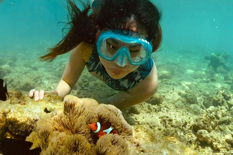 Excursión exclusiva a Gili Nanggu, Sudak y Kedis con GoProGrupos pequeños privados