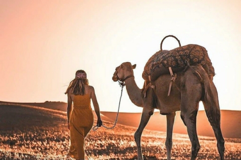 Au départ de Marrakech : Promenade à dos de chameau dans le désert d'Agafay avec coucher de soleil et dînerAu départ de Marrakech : Dîner et promenade à dos de chameau dans le désert d'Agafay au coucher du soleil