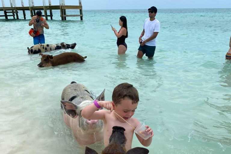 Safari des cochons nageurs 2 heures