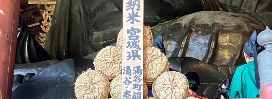 Visite privée de Nara au départ d'Osaka - Rendez-vous à votre hôtel