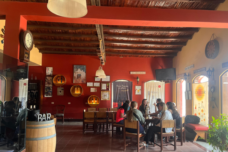 De Ica ou Huacachina: Pisco, vinho e buggy ao pôr do sol