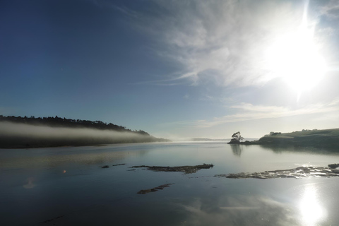 Safari en kayak sur la rivière Okura