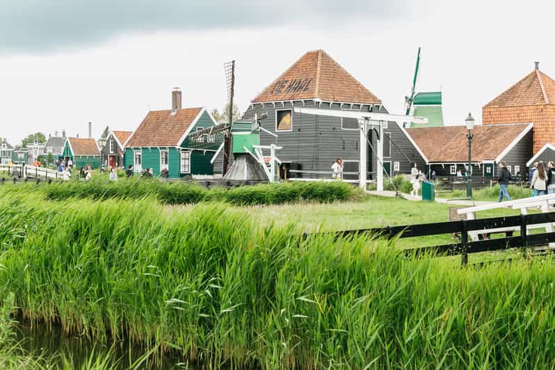From Amsterdam Guided Zaanse Schans & Cheese Tasting Tour GetYourGuide
