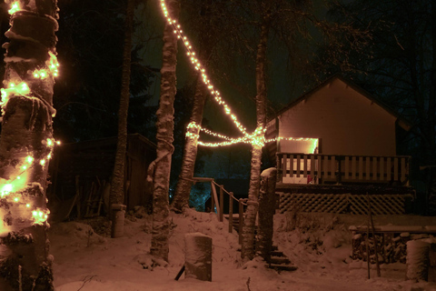 Rovaniemi: Sauna tradicional y experiencia de natación en hielo