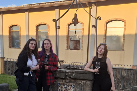 From Catania: Etna Trekking & Wine Tasting Tour with Pickup