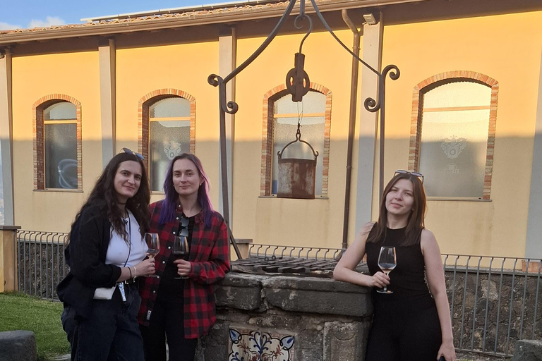 From Catania: Etna Trekking & Wine Tasting Tour with Pickup