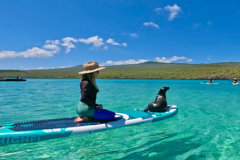 Paddleboard Adventure with Sea Lions on San Cristobal Island