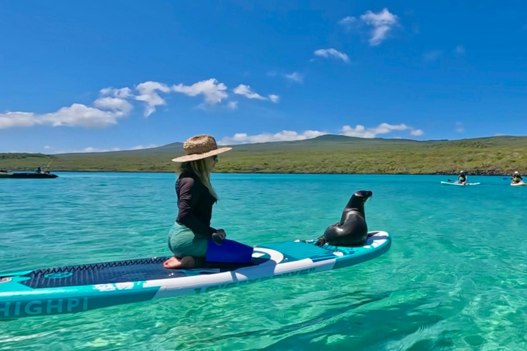 Paddleboard Adventure with Sea Lions on San Cristobal Island