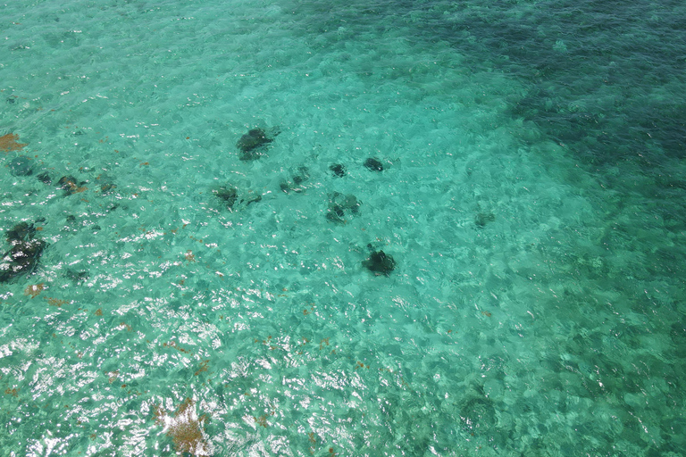 Grand Cayman: Catamaran Cruise with Stingray City & Snorkel