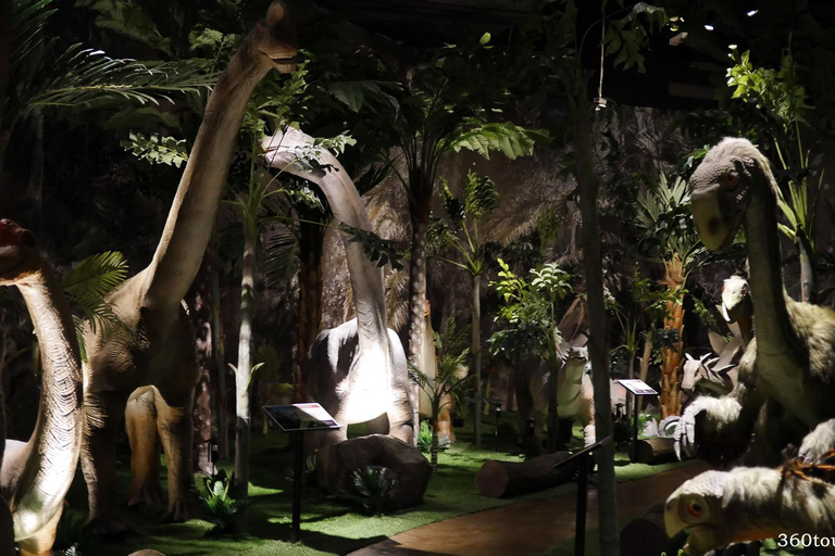 The Top Penang Ticket (5 Attraction Pass )