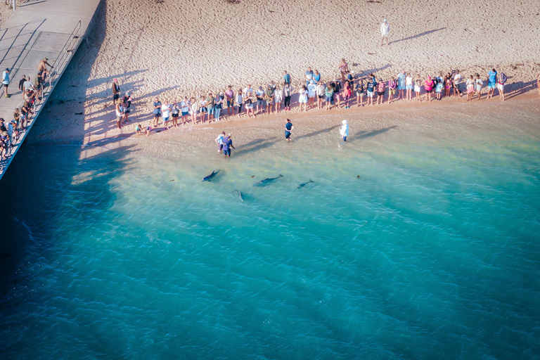 Perth: 8-Day Exmouth Tour with Ningaloo Reef Comfort Tour Twin Share Room (Adults only)