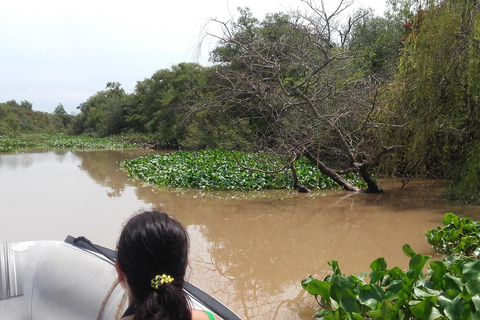 Tigre: Safari Delta Boat Tour in Tigre