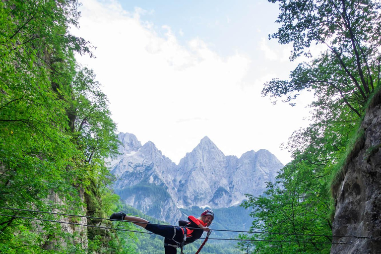 Bled: Hvadnik Gorge Via Ferrata Tour with Wire Bridges