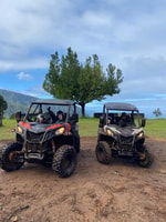 Vanuit Madeira, Private Buggy Rijervaring met Pickup - Hizvo