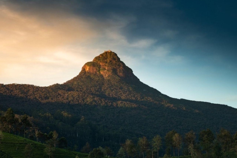 Kolombo/Negombo - emocje na szczycie: Adams Peak Hike