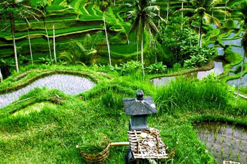 Tour privato della foresta delle scimmie di Ubud, dei campi di riso e dell&#039;altalena feliceTour privato di Ubud (biglietto d&#039;ingresso non incluso)