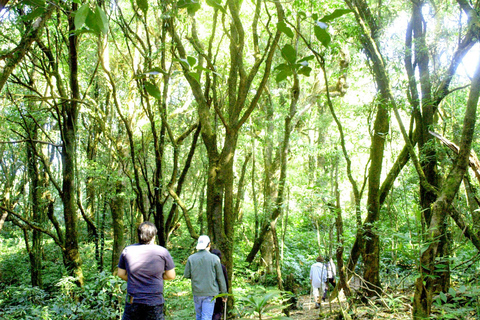 Chiang Mai: Doi Inthanon, Wasserfälle & Stammesdörfer Tour