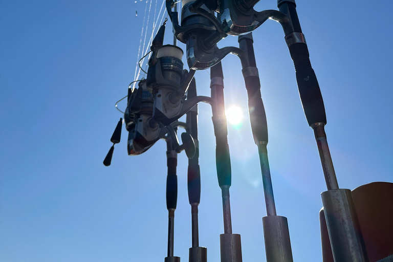 Rhodes : Excursion de pêche avec barbecue et baignade