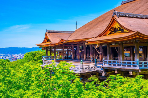 Nara & Kyoto Ancient Charm One-Day Tour Osaka Metro Nippombashi Station, Exit 2 (8:40)