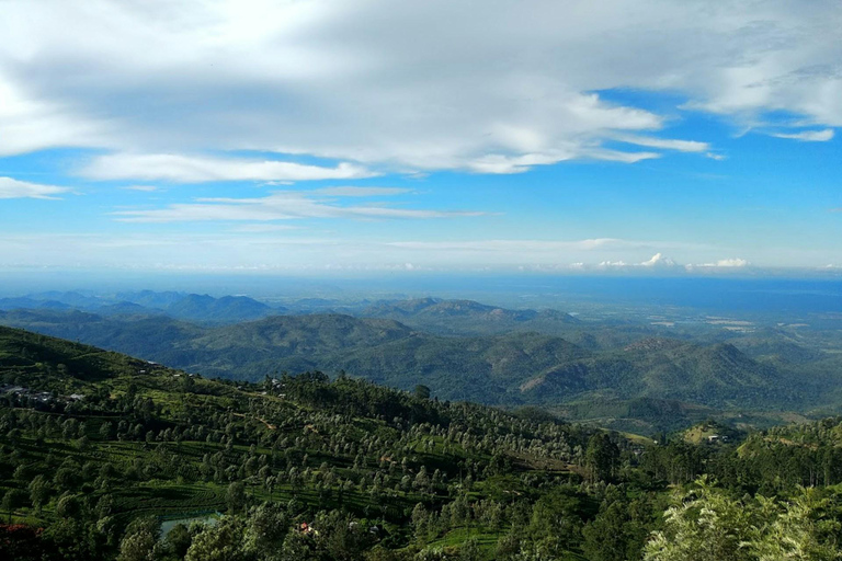 Ella: De Pekoe Trail Etappe 16 - Ella naar DemodaraHet Pekoe pad etappe 16