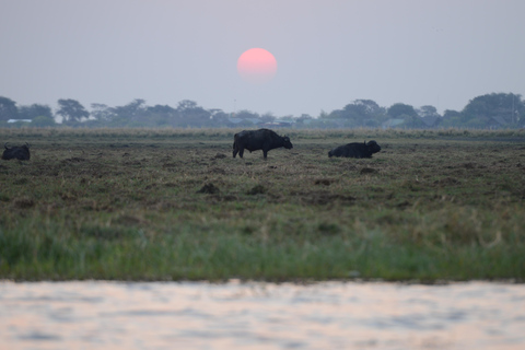 3 Días Explora Zambia, Zimbabue y el Parque Chobe en Botsuana