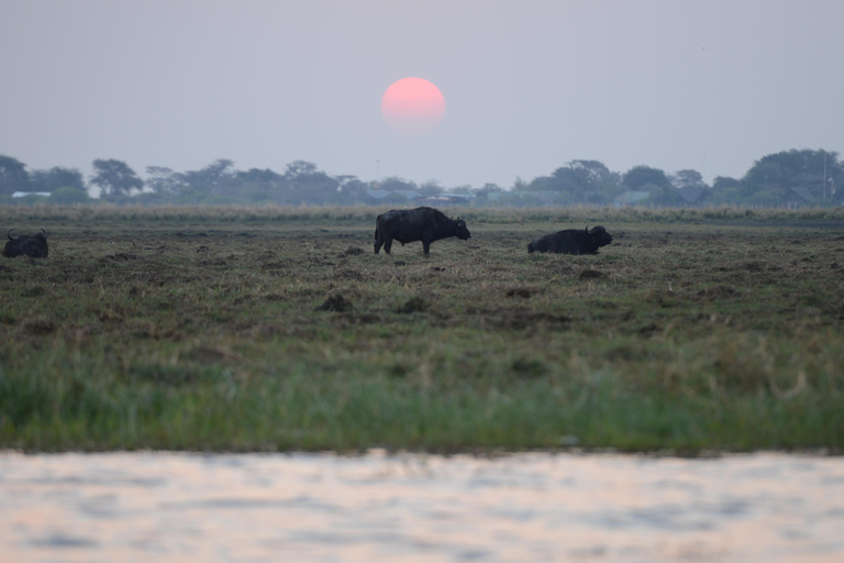 3 Días Explora Zambia, Zimbabue y el Parque Chobe en Botsuana