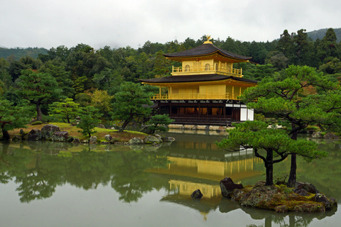 Kyoto/Osaka/Nara: Kyoto Private Guided Day Trip on Vehical