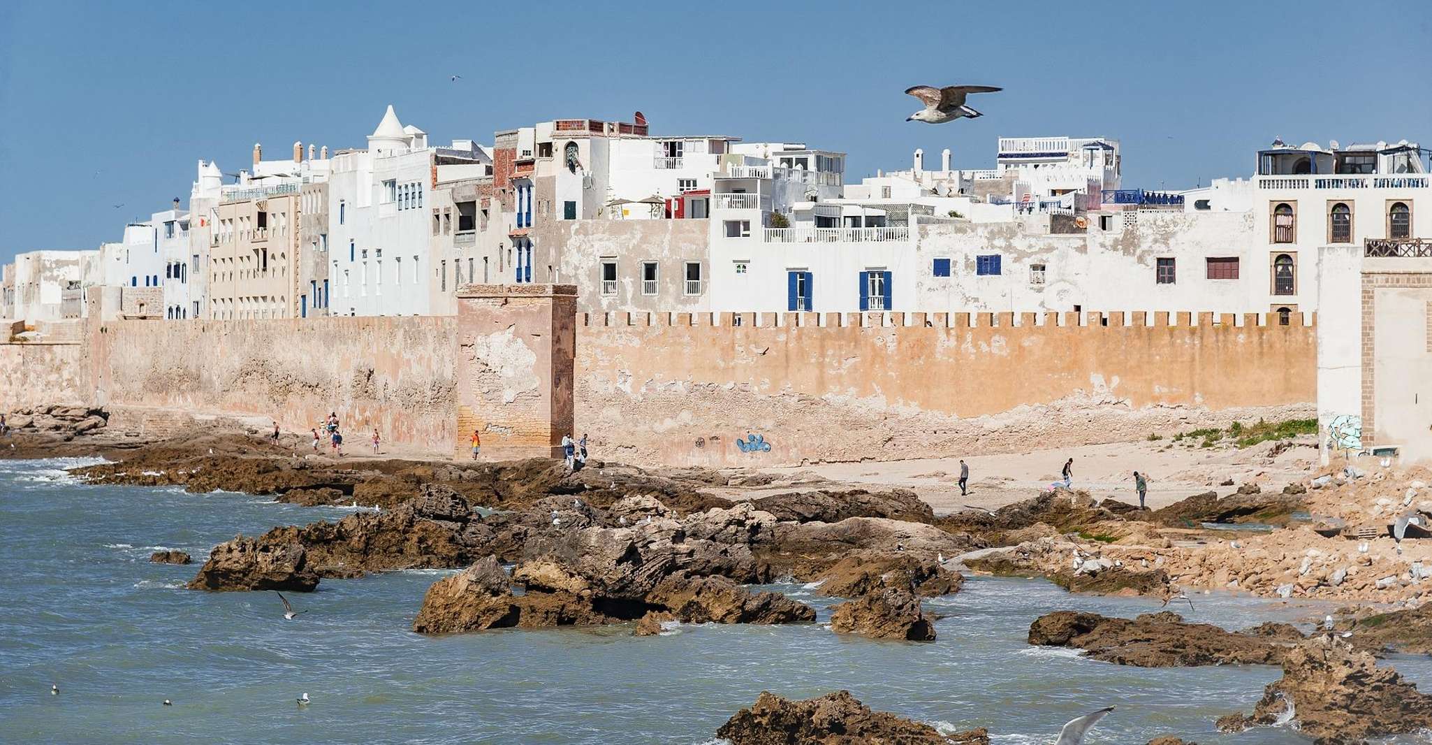 Essaouira, Kultur- & Historische Besichtigungstour - Halbtagstour - Hizvo