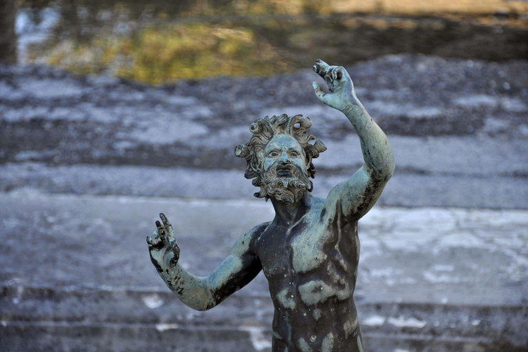 Au départ de Naples : Excursion d&#039;une journée à Herculanum et Pompéi avec billets