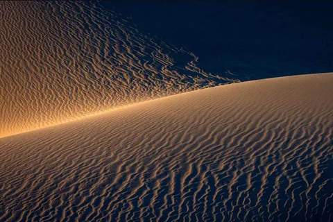 Doha: Nächtliche Wüstensafari mit Dune Bashing und Kamelritt