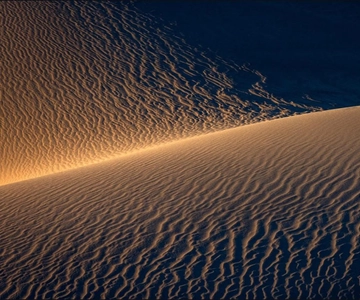 Doha: Nighttime Desert Safari with Dune Bashing & Camel Ride