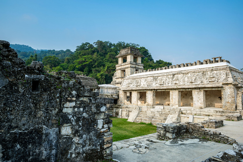 Chiapas: Palenque Admission Ticket, Mayan Temples, and Selva Viva