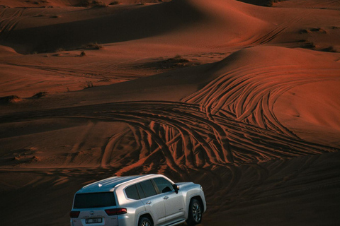 Namibia: Pelican Point & Long Beach Dunes Self-Drive Tour