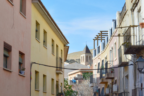 All Alicante with Castle, Market and Tapas. Semi-private tour